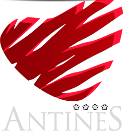 Hotel ANTINES